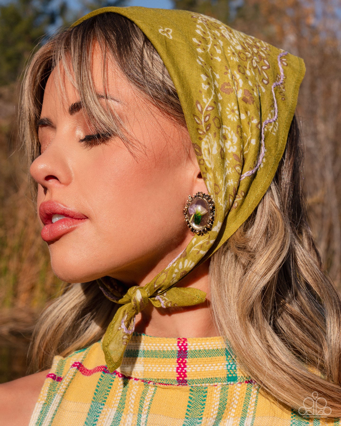 Elaborately Encased - Gold - Paparazzi Earring Image