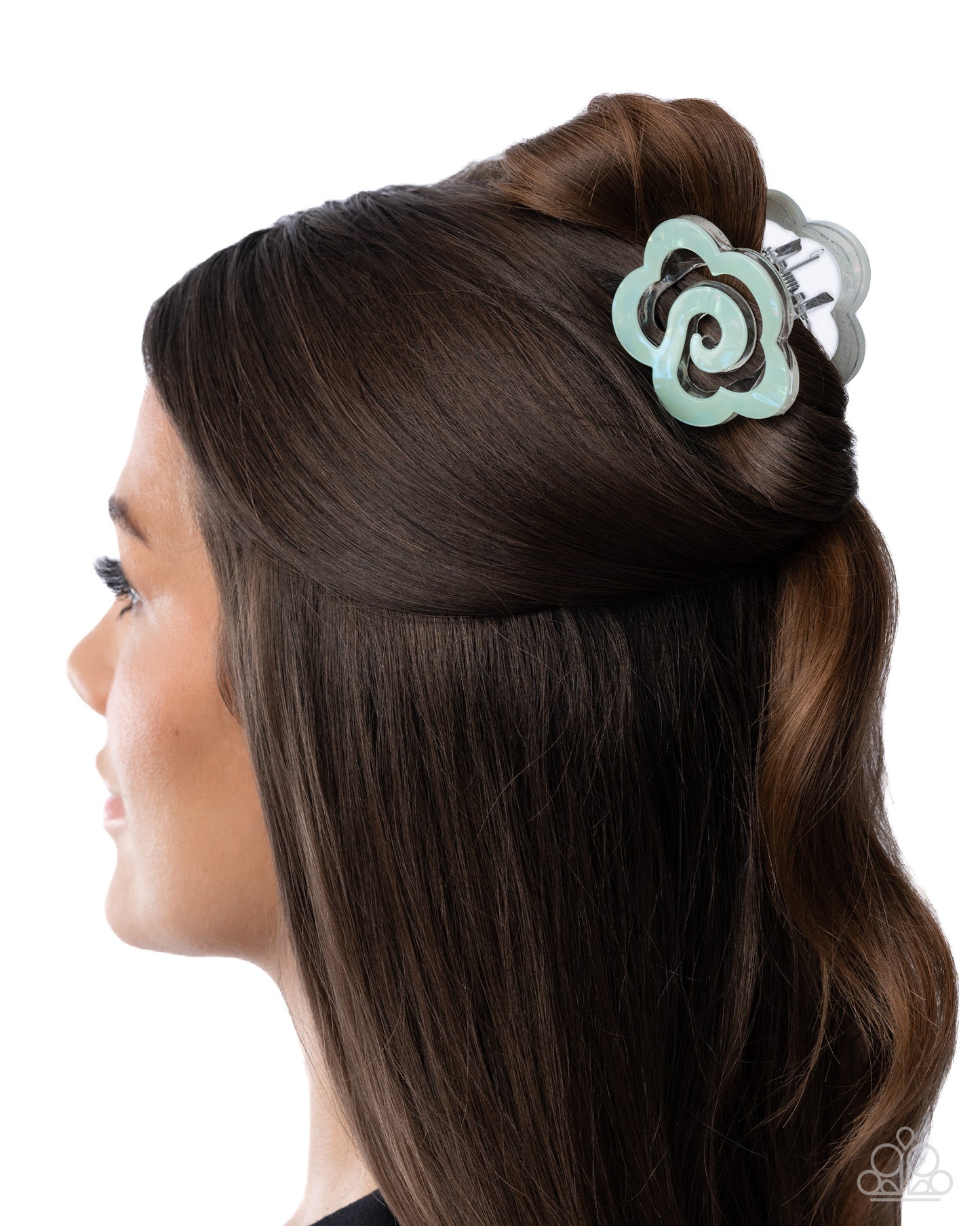 Blooming Bureau - Paparazzi Hair Accessories Image