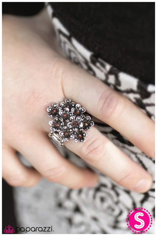 Paparazzi Ring ~ Forget Your Troubles - Brown