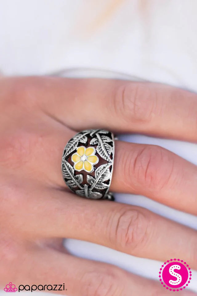 Anillo de paparazzi ~ Cuando Jane conoció a Tarzán - Amarillo