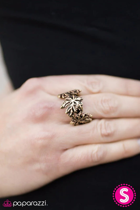 Paparazzi Ring ~ If You LEAF - Brass