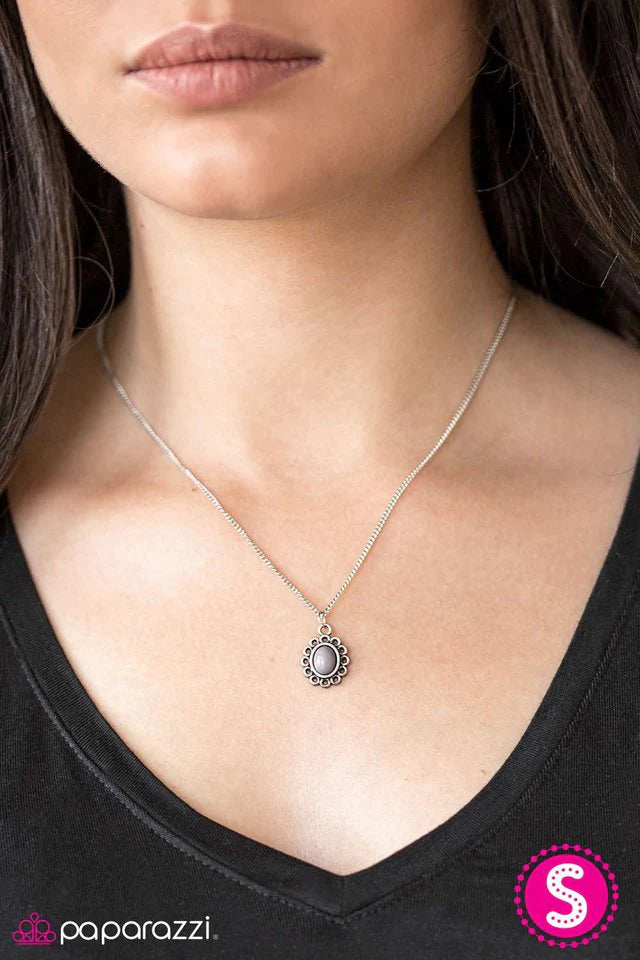 Collar Paparazzi ~ El más modesto de todos - Plata