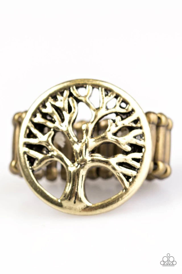 Paparazzi Ring ~ Go Climb A Tree - Brass