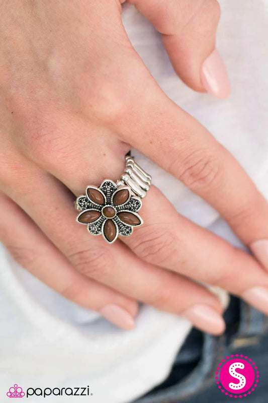 Paparazzi Ring ~ How DAISY Is That? - Brown