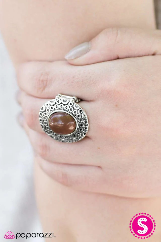 Paparazzi Ring ~ SPIN There, Done That - Brown