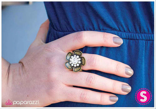 Paparazzi Ring ~ At the Risk of Looking Fabulous - Brass