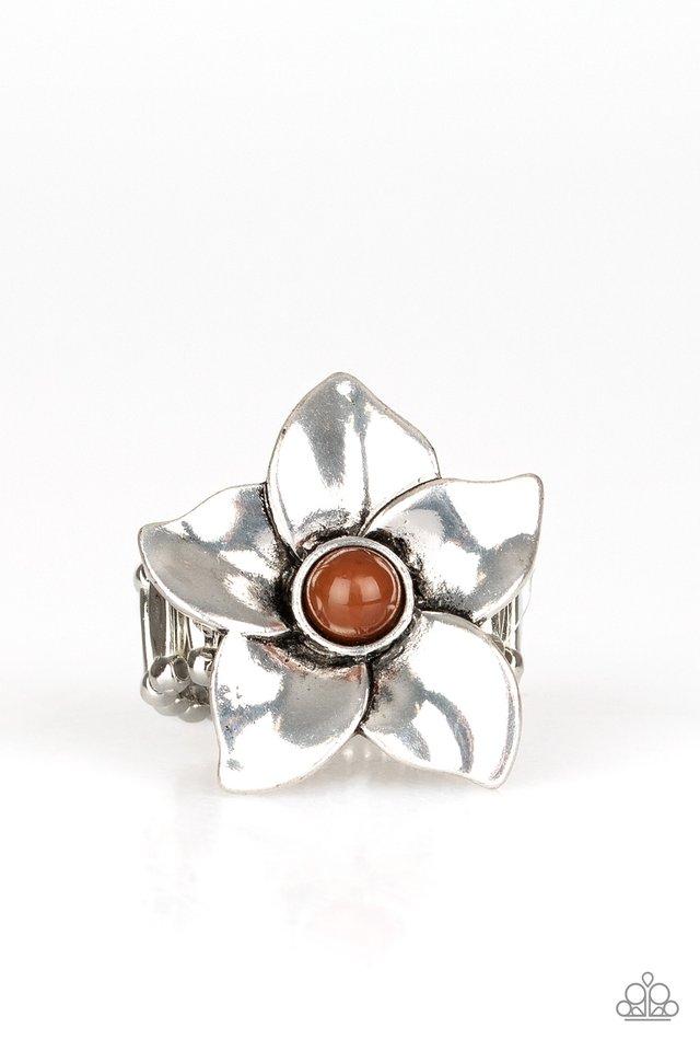 Anillo Paparazzi ~ Pide flores - Marrón