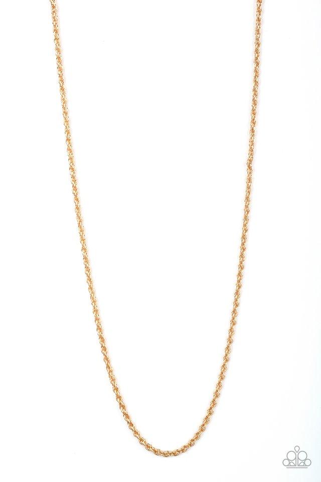 Paparazzi Necklace ~ The Go-To Guy - Gold