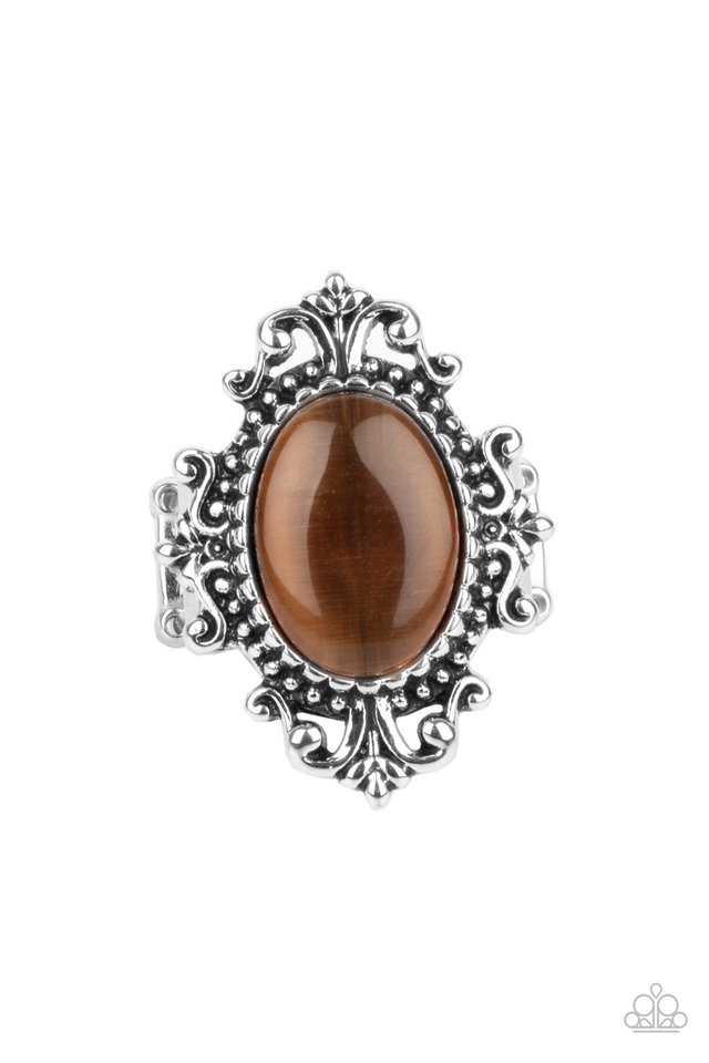 Can You SEER What I SEER - Brown - Paparazzi Ring Image