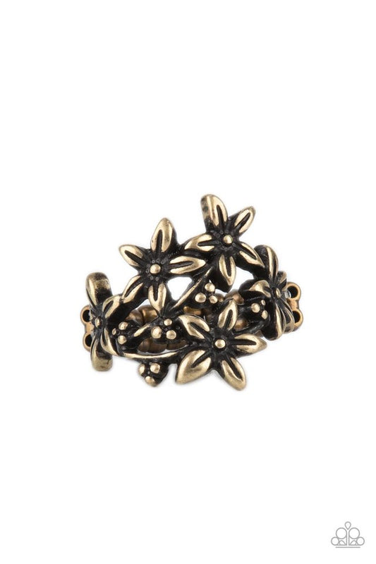 Prairie Primrose - Brass - Paparazzi Ring Image