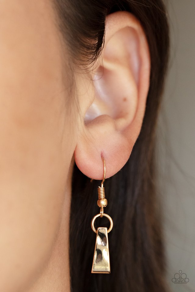 The MANE Course - Gold - Paparazzi Necklace Image