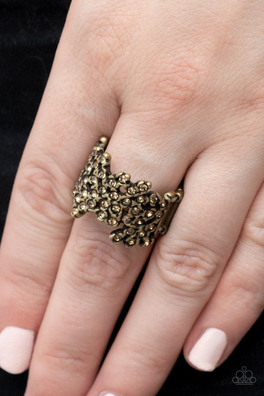 Sizzling Shimmer - Brass - Paparazzi Ring Image