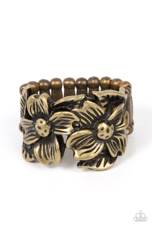 Island Eden - Brass - Paparazzi Ring Image