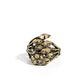 Wave of Whimsy - Brass - Paparazzi Ring Image