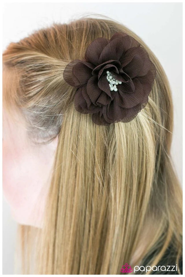 Paparazzi Hair Accessories ~ Moment of Truth - Brown
