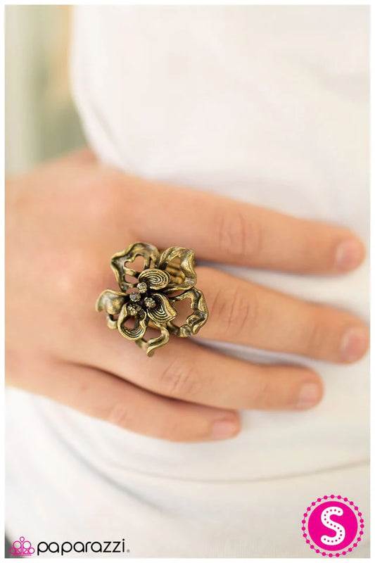 Paparazzi Ring ~ Contemporary Contours - Brass