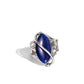 Enlightened Elegance - Blue - Paparazzi Ring Image