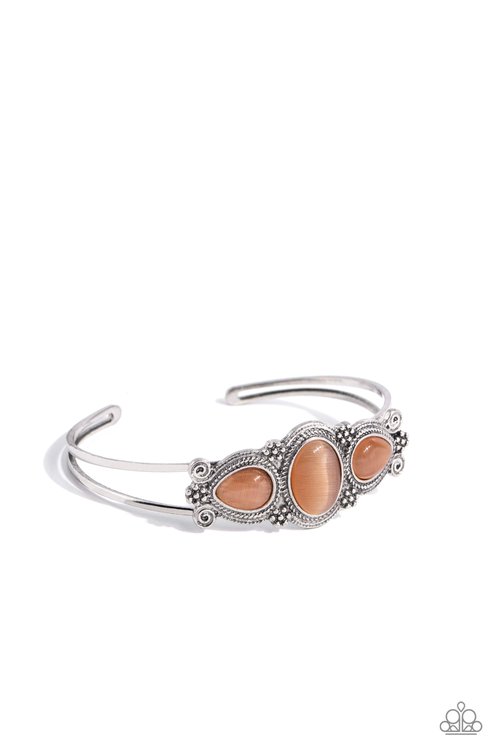 ​Greenhouse Glamour - Orange - Paparazzi Bracelet Image