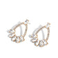Experience Elegance - Paparazzi Earring Image
