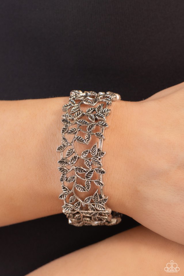 Whose VINE Is It Anyway? - Silver - Paparazzi Bracelet Image