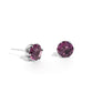 Breathtaking Birthstone - Purple - Paparazzi Earring Image