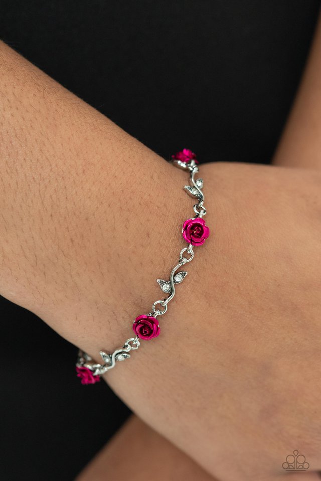 Roses Supposes - Pink - Paparazzi Bracelet Image