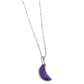 Lunar Lesson - Purple - Paparazzi Necklace Image