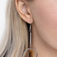 Serendipitous Stones - Brown - Paparazzi Earring Image