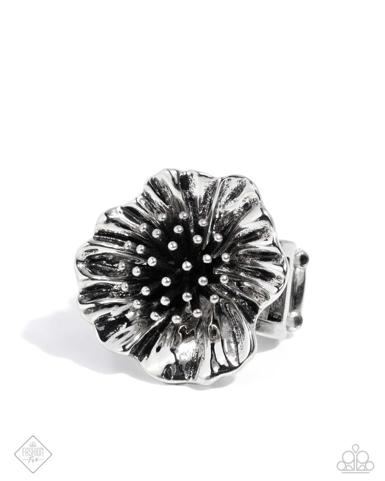 Antique Adornment - Silver - Paparazzi Ring Image