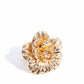 Grand Garden - Gold - Paparazzi Ring Image