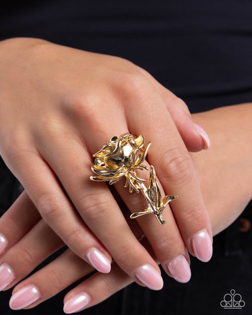 Rose Period - Gold - Paparazzi Ring Image