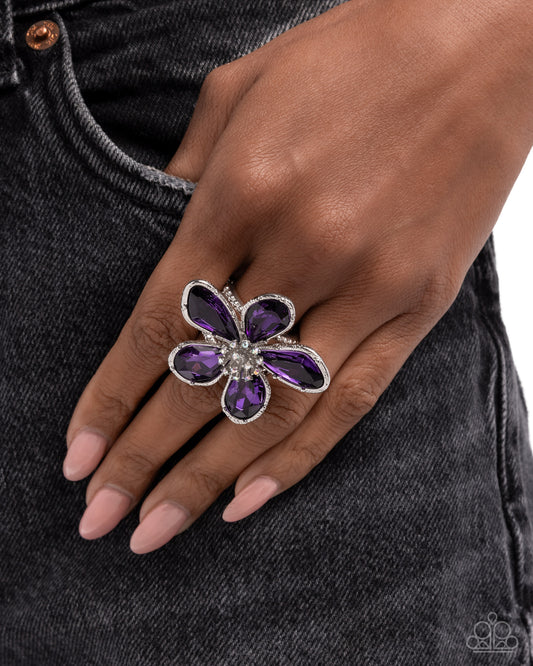 Daily Drama - Purple - Paparazzi Ring Image