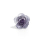 Floral Intentions - Purple - Paparazzi Ring Image