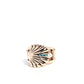 Seashell Side - Blue - Paparazzi Ring Image