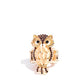 Owl Obsession - Paparazzi Ring Image