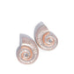Chill Conch - Paparazzi Earring Image