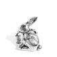 Rabbit Radiance - Paparazzi Ring Image