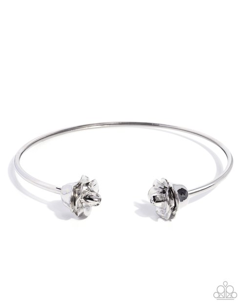 Rosy Radius - Silver - Paparazzi Necklace Image