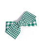 Picnic Pattern - Green - Paparazzi Hair Accessories Image