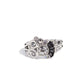Crowning Glitz - Silver - Paparazzi Ring Image