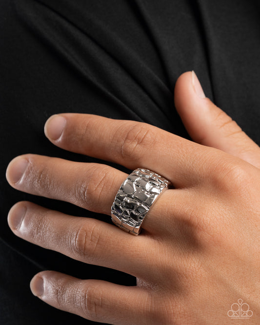 Nuanced Nuggets - Paparazzi Ring Image