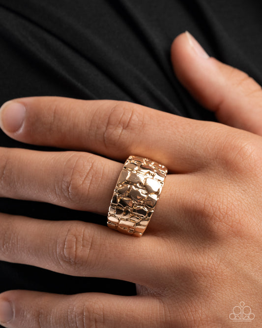 Nuanced Nuggets - Paparazzi Ring Image