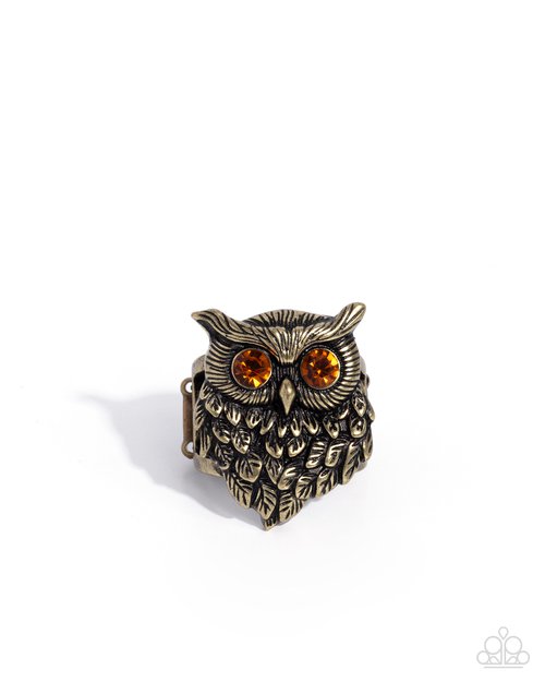 Wisest of Them All - Brass - Paparazzi Ring Image