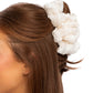 Ballroom Bunch - Paparazzi Hair Accessories Image