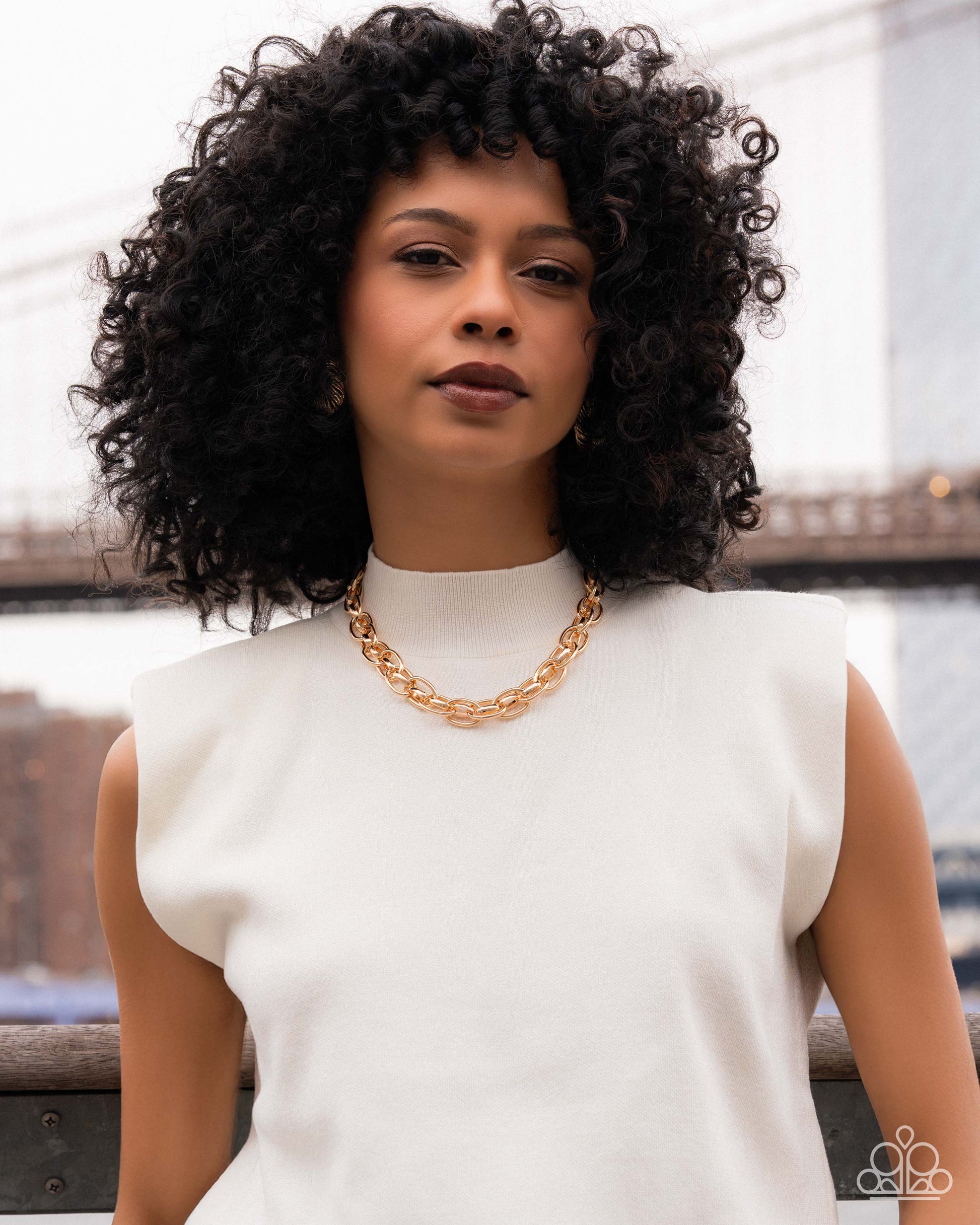 Kept in Confidence - Paparazzi Necklace Image