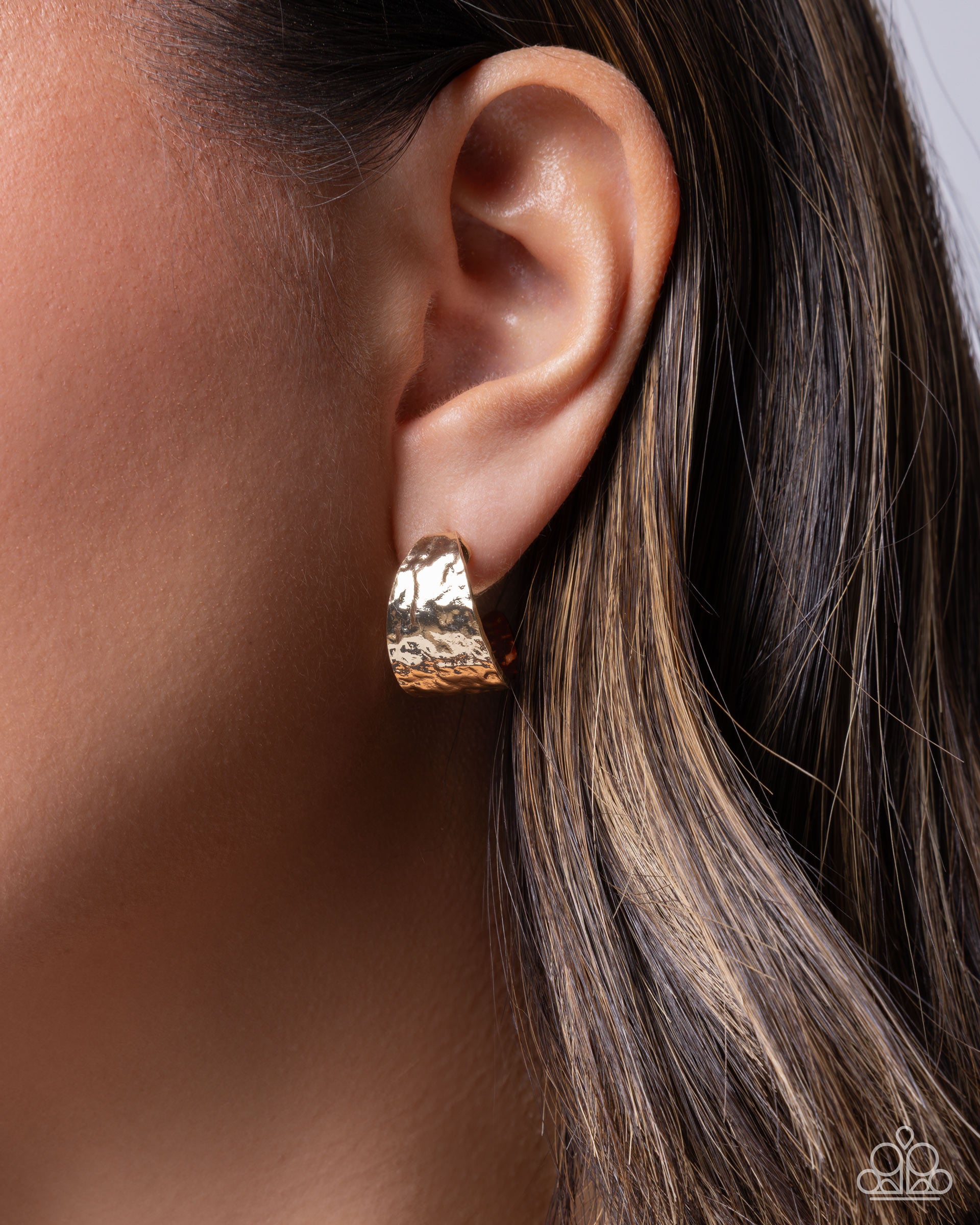 Flashy Finish - Paparazzi Earring Image