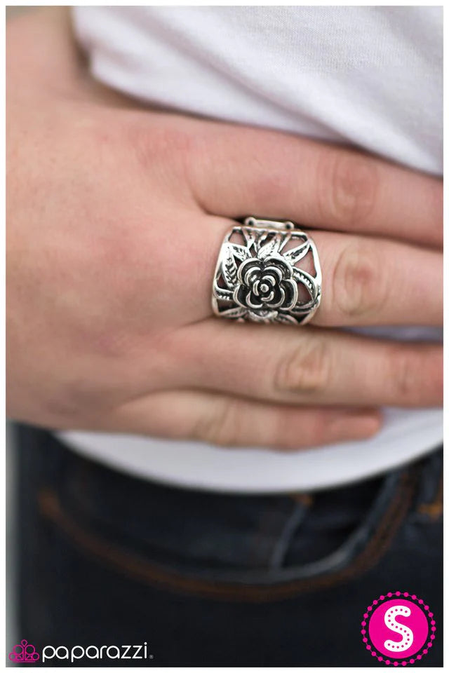 Anillo Paparazzi ~ BLOOMance en ciernes - Plata