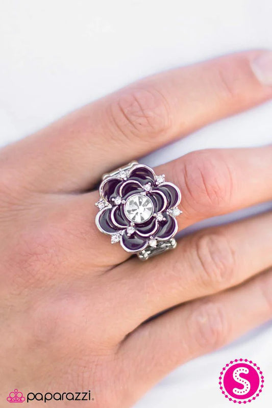 Paparazzi Ring ~ Passion Flower - Purple