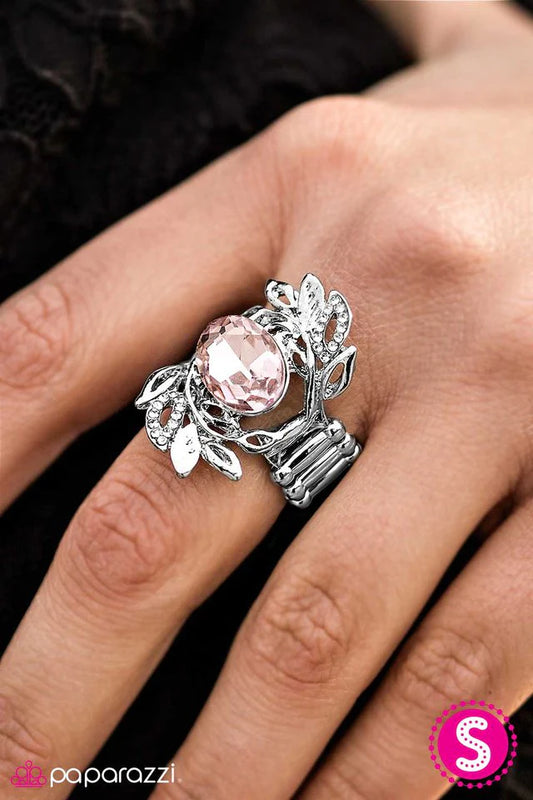 Anillo Paparazzi ~ Jardín Glamour - Rosa