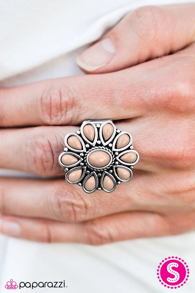 Paparazzi Ring ~ Daisy Dance - Brown